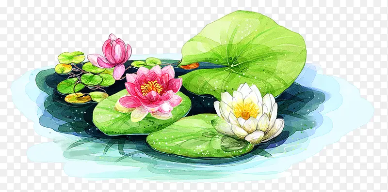 荷花池塘展架设计