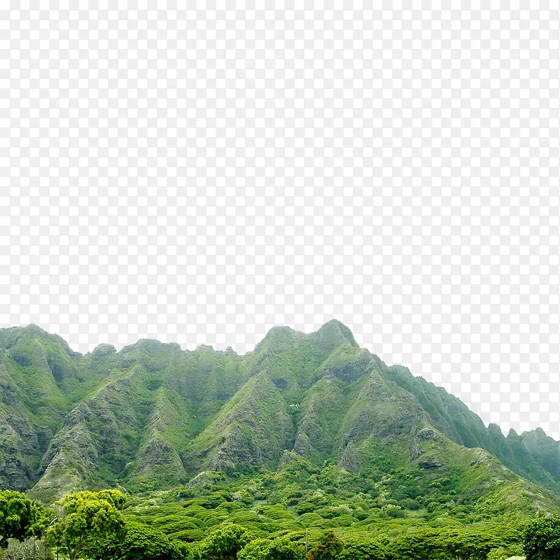 山