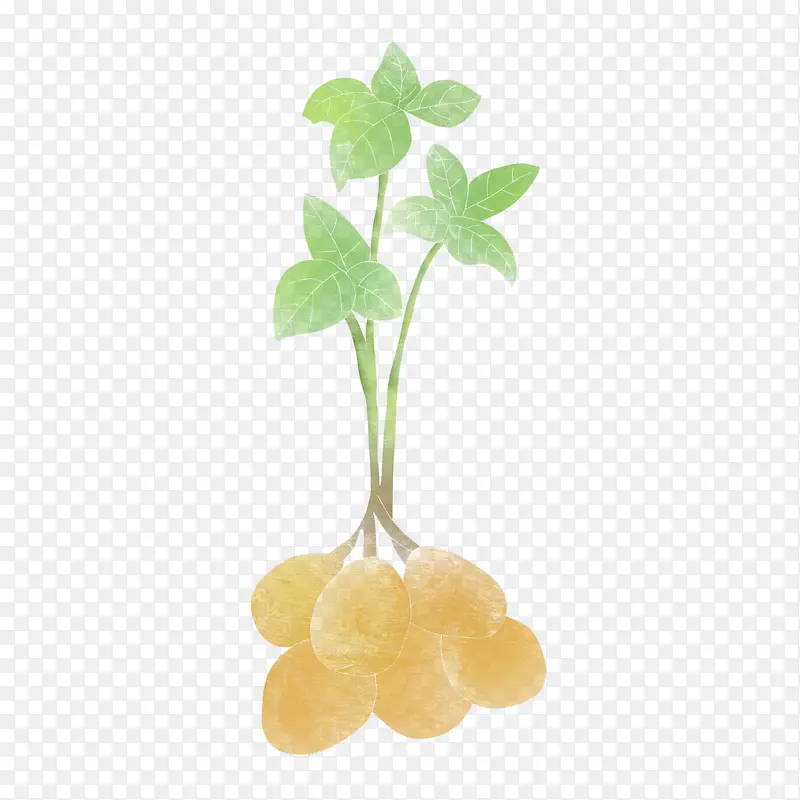 手绘地瓜精美食物元素
