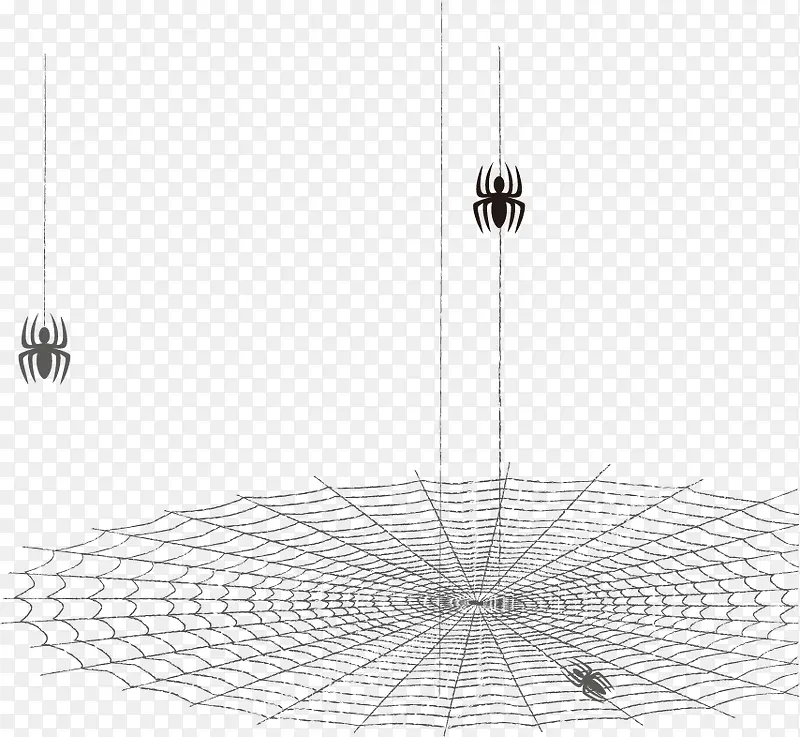 矢量手绘蜘蛛