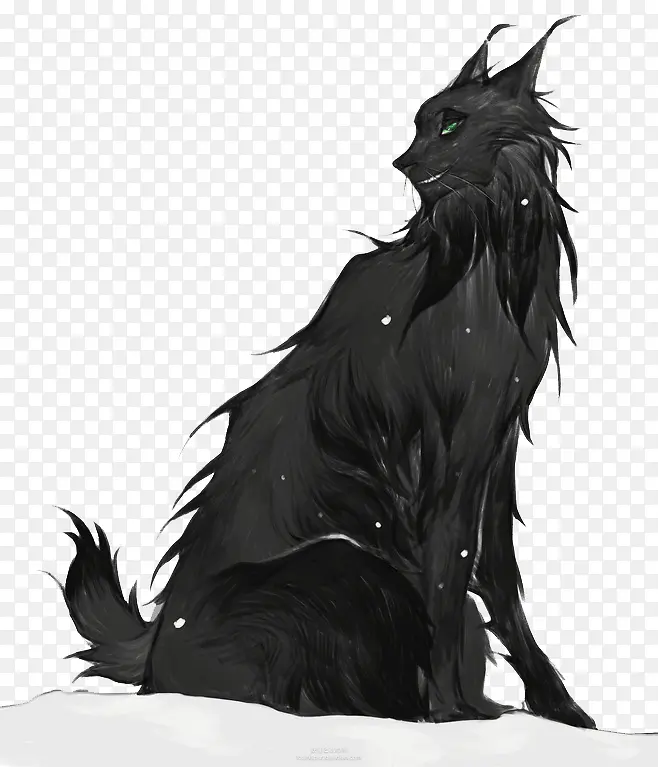 黑猫