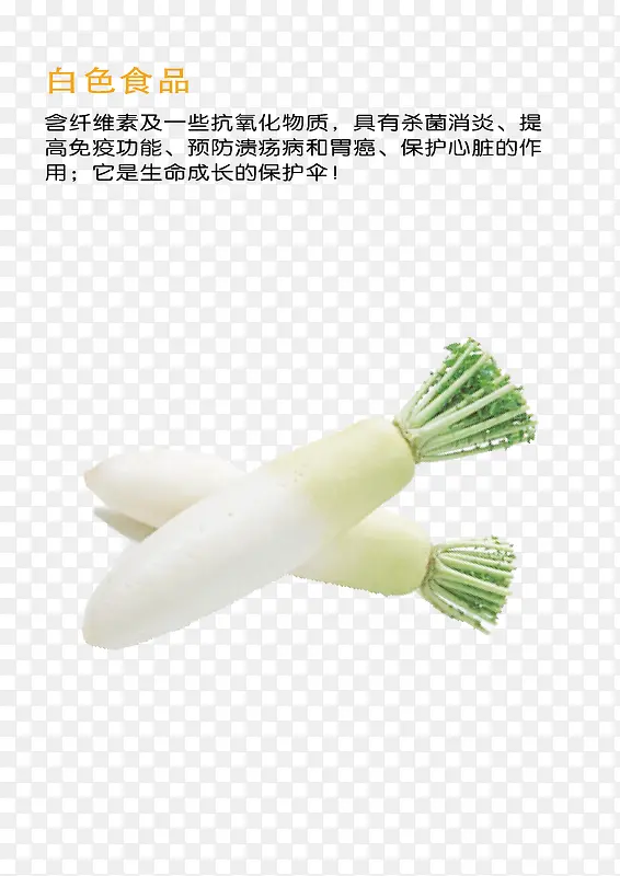 白萝卜  白色食品  白色蔬菜