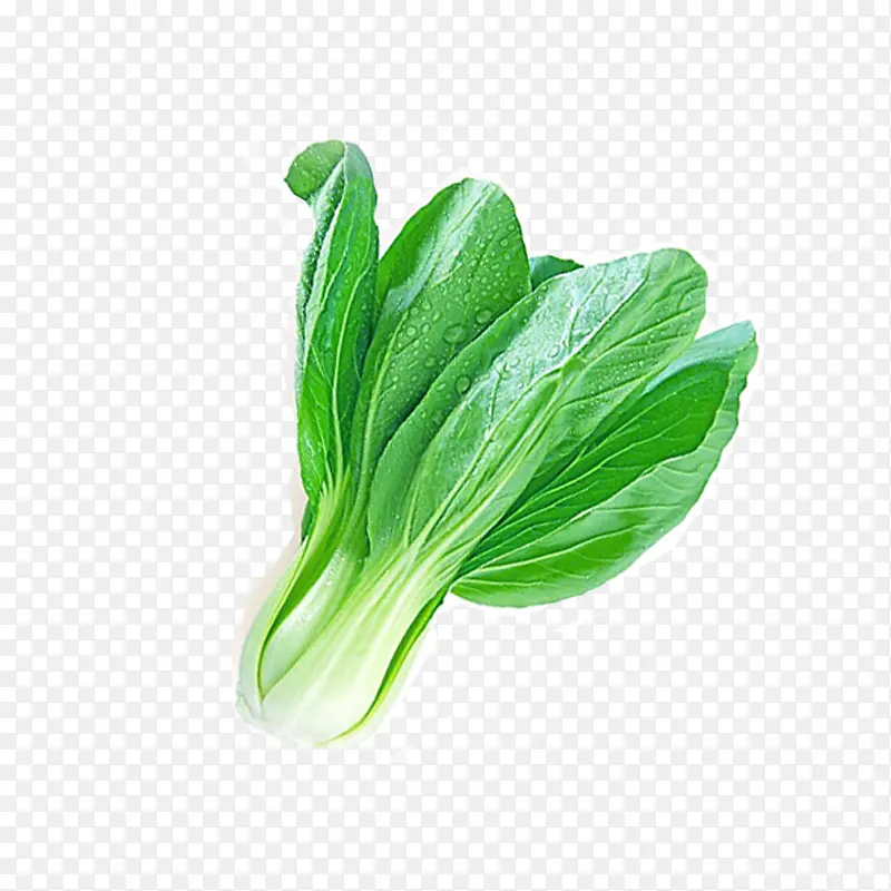 青菜