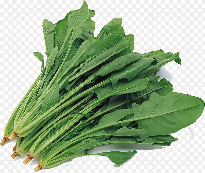 青菜