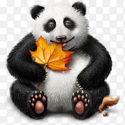 熊猫图标