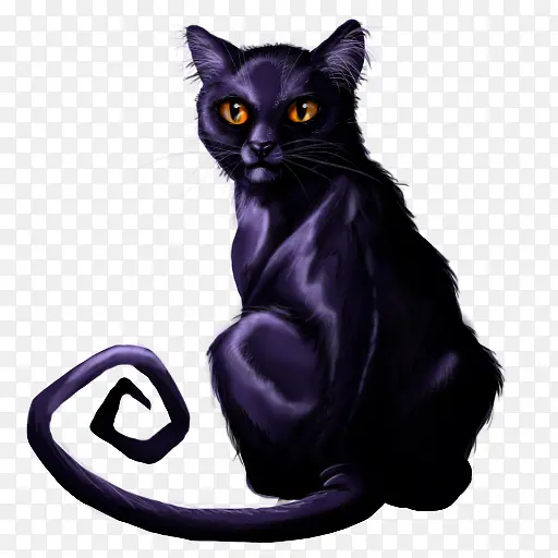 黑猫图标