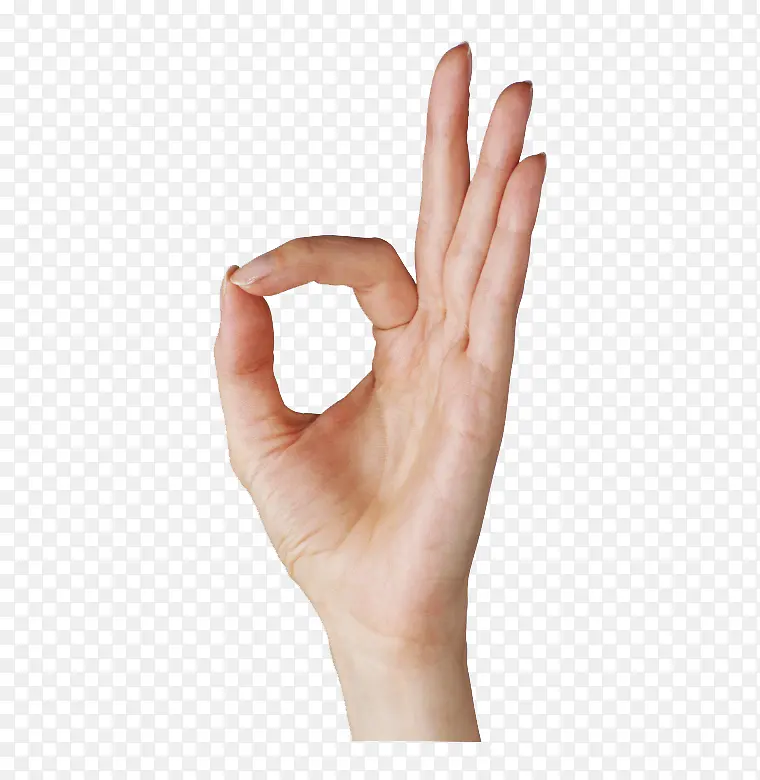 ok手掌