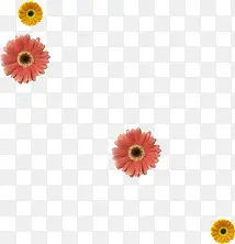 彩色葵花元素