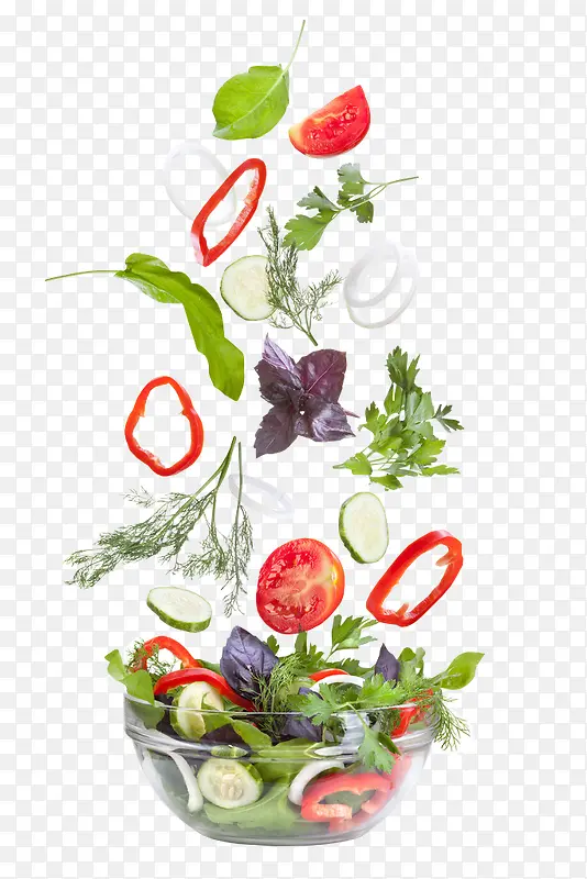 彩色植物元素