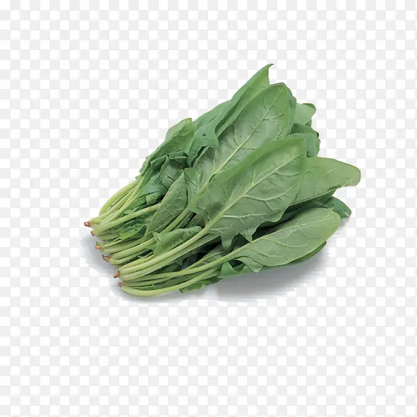 菠菜
