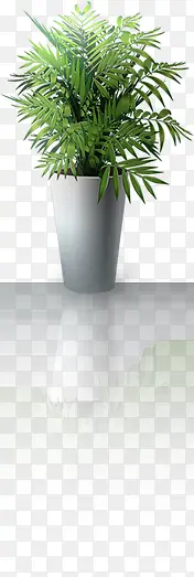 绿色室内摆件植物PNG图片素材下载_图片编号10970092-PNG素材网