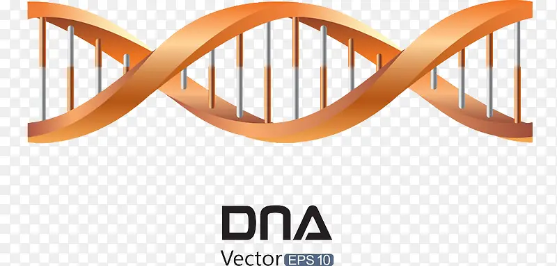 桔红色DNA高清免扣素材