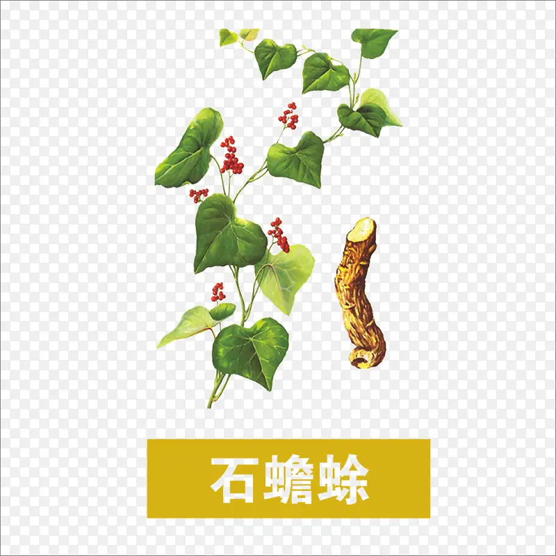 草药