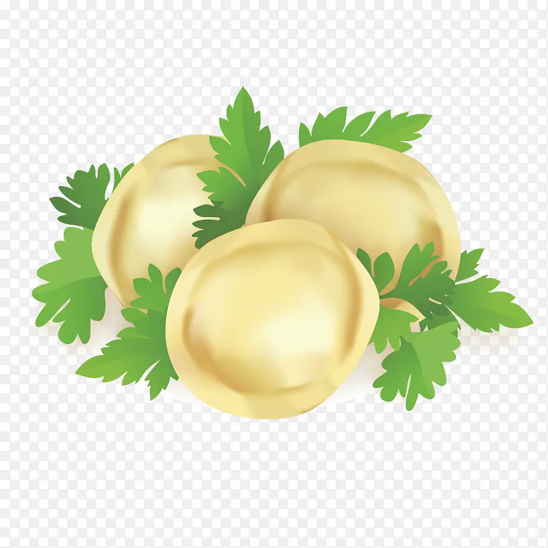 矢量饺子和菜叶