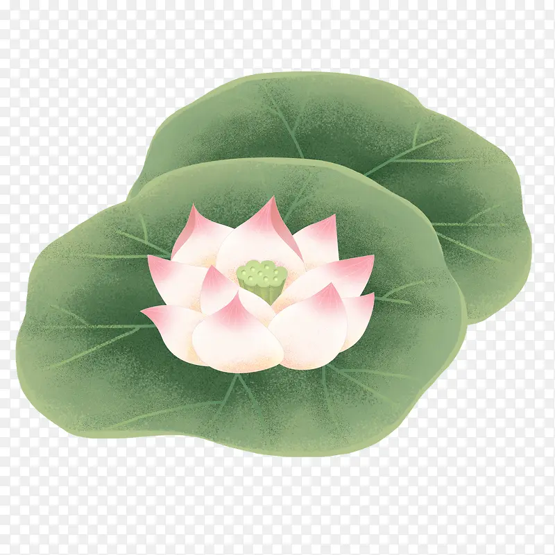 美味的饺子免扣元素