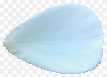白色花瓣图片