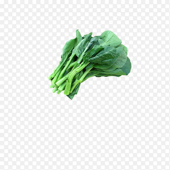 油菜