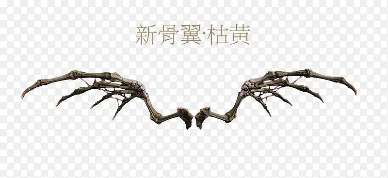 新骨翼枯黄翅膀展架