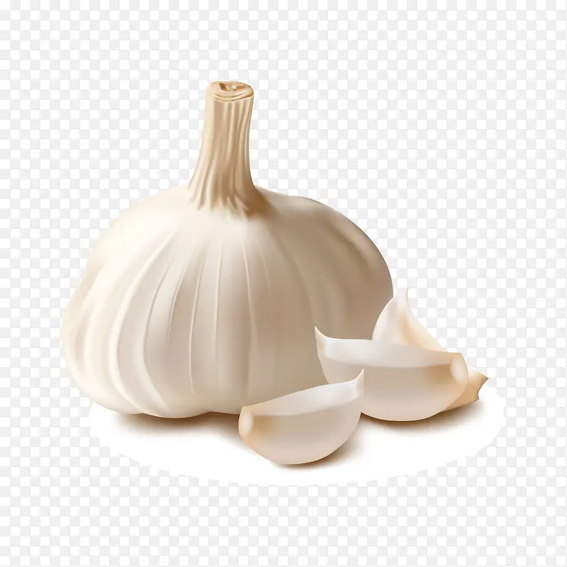 手绘大蒜