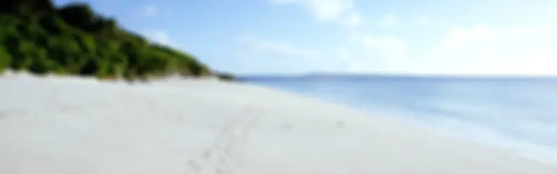 山清水秀背景banner