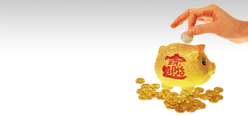 理财金币存钱小金猪
