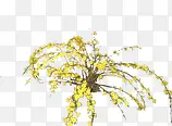 黄色稀疏植物美景PNG图片素材下载_图片编号11007744-PNG素材网
