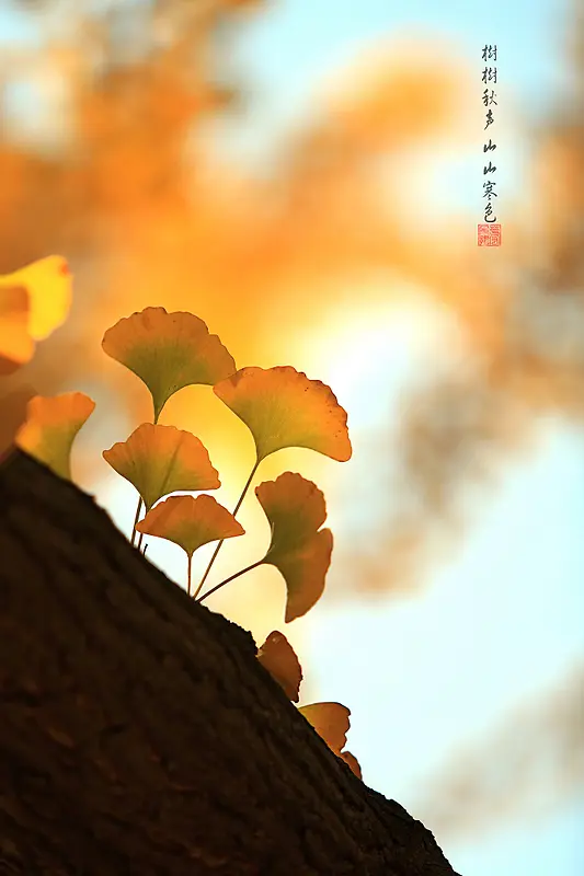 粉色梦幻树叶壁纸