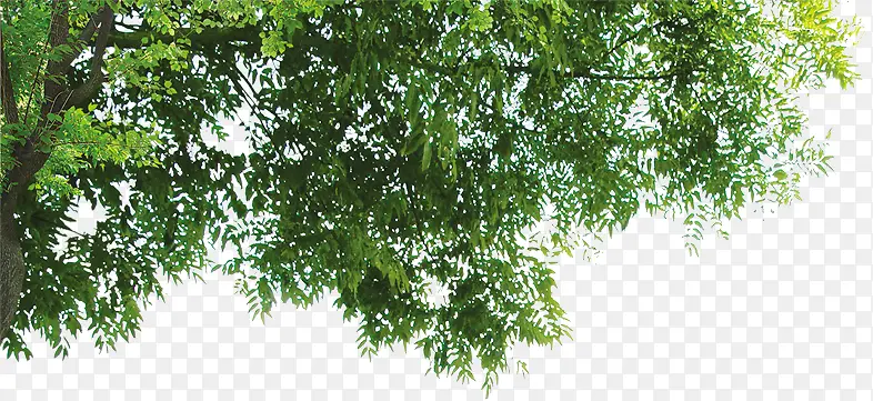 绿色景观植物装饰环保PNG图片素材下载_图片编号11030202-PNG素材网
