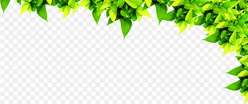 植物效果设计绿色PNG图片素材下载_图片编号11032539-PNG素材网
