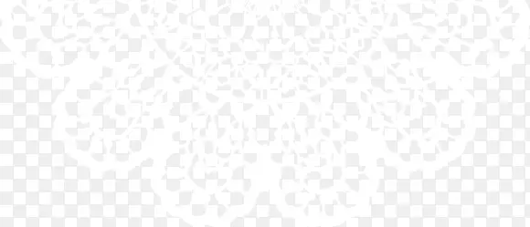 浪漫白色花纹婚礼