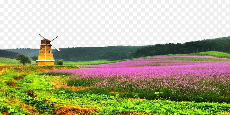 薰衣草庄园
