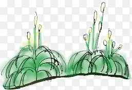 绿色手绘植物装饰