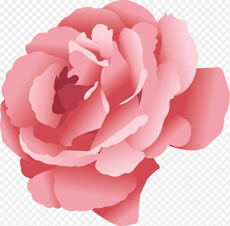 芙蓉花装饰设计矢量