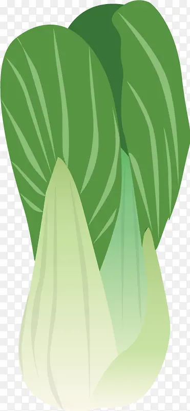 手绘白菜绿色卡通