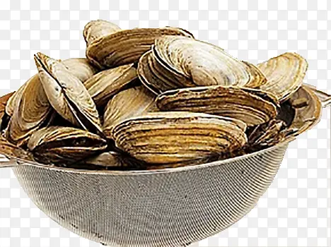 生蚝