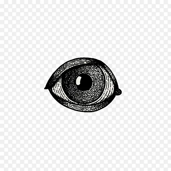 手绘的眼睛