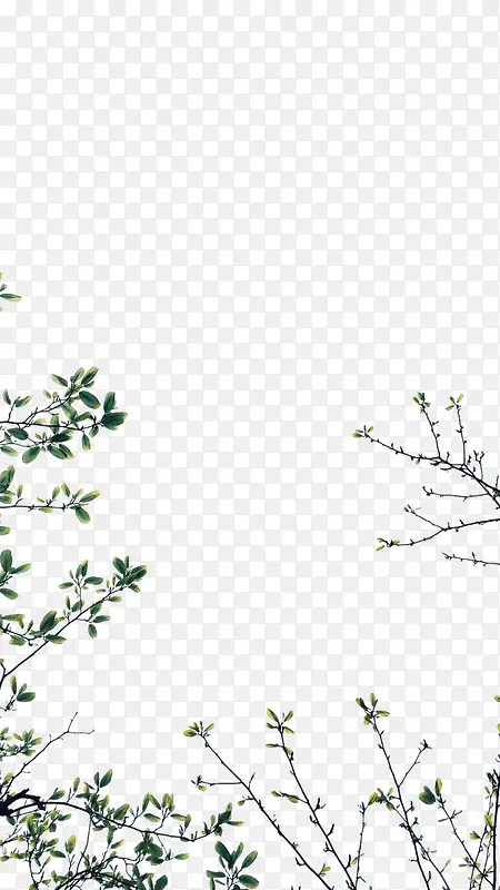 手绘绿色植物装饰PNG图片素材下载_图片编号11070950-PNG素材网