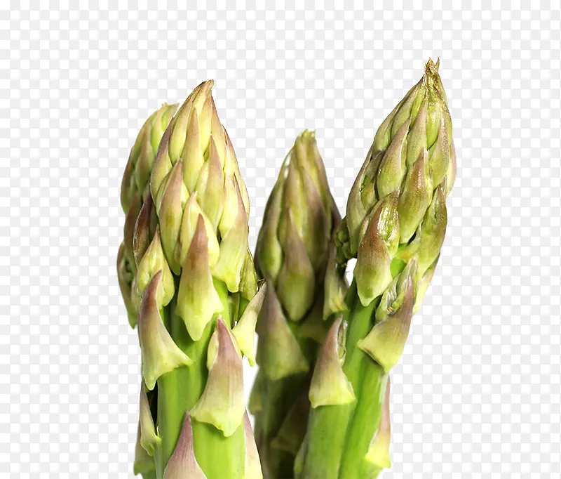 美味蔬菜笋尖