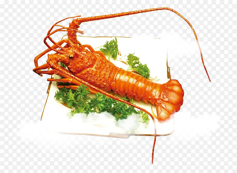 大龙虾