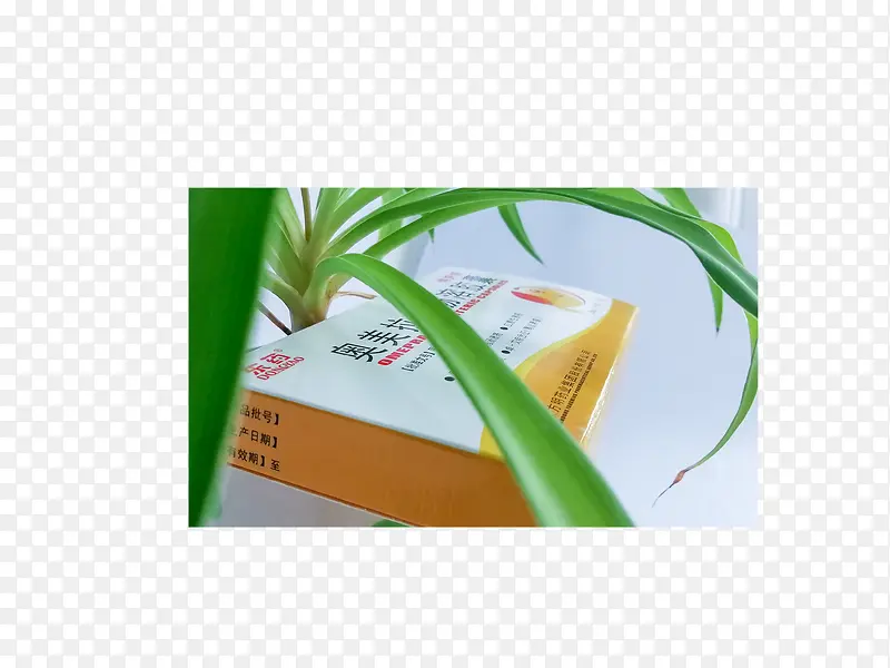 质子泵抑制剂ppi6