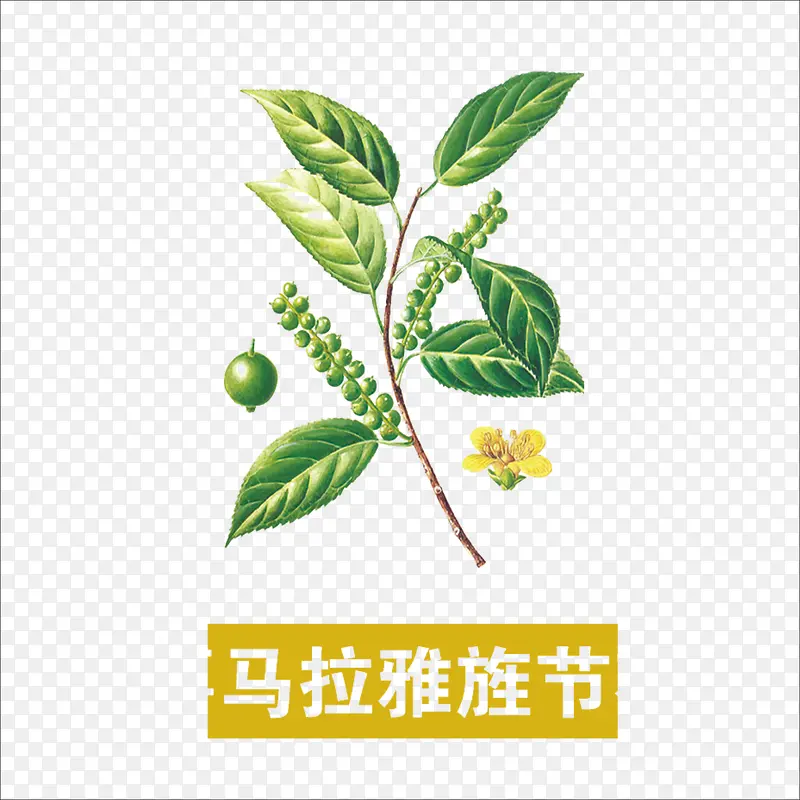 草药
