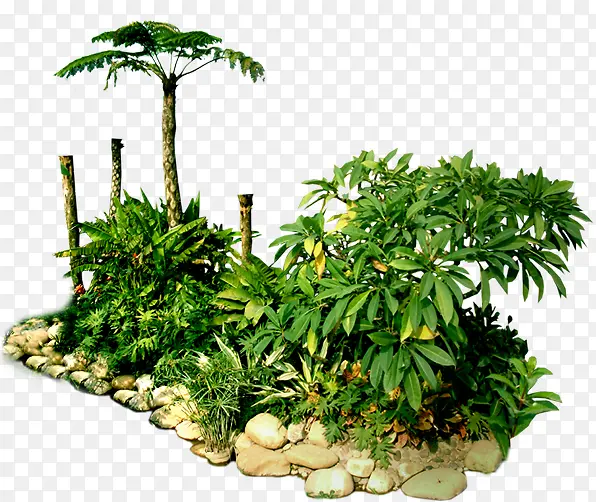 绿色景观植物装饰PNG图片素材下载_图片编号11086747-PNG素材网