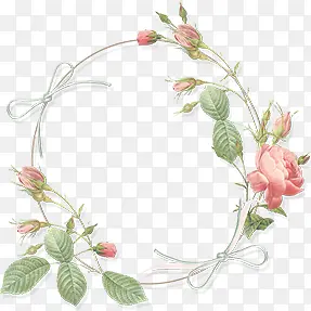 淡花围春植物图片