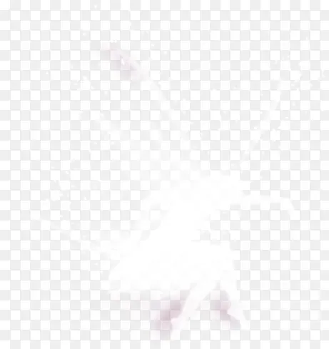 白色蝴蝶