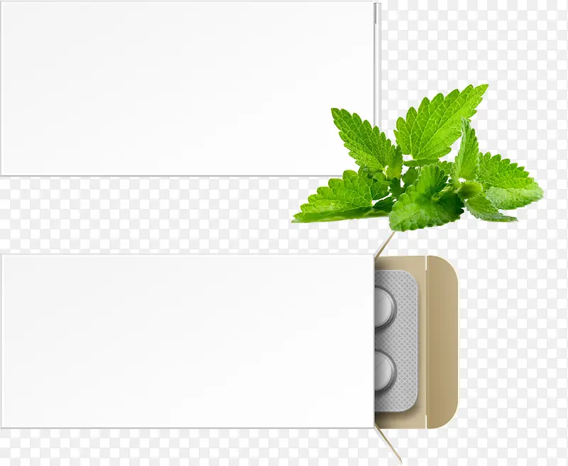 药片药盒西药叶子