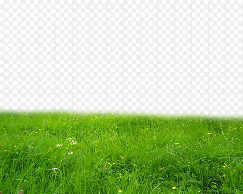 草地免扣png