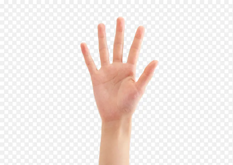 人的手,右手PNG图片素材下载_图片编号11096440-PNG素材网