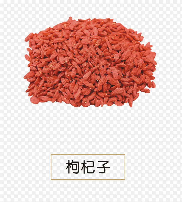 枸杞子
