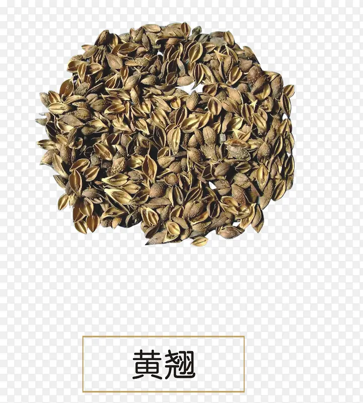 黄翘