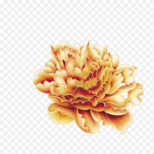 海堂花